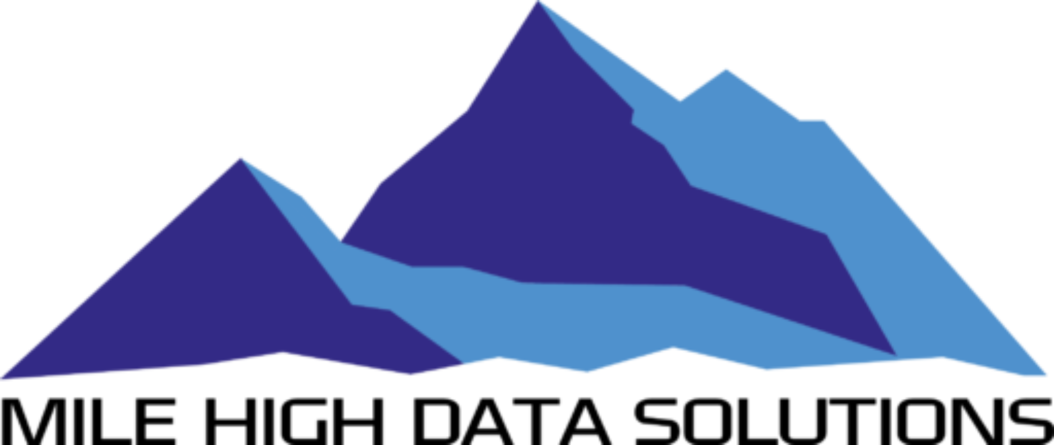 Mile High Data Solutions